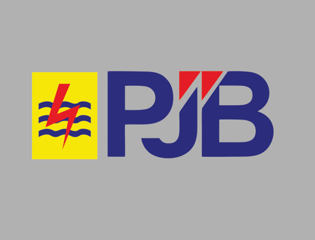 PLN PJB